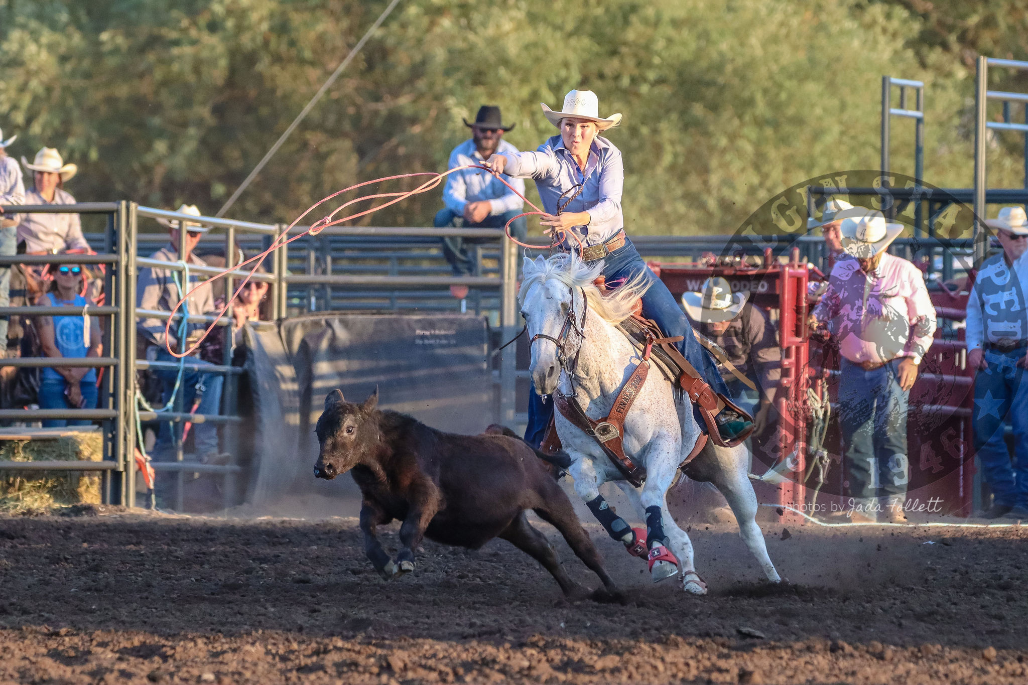 Elgin-Stampede.jpg?w=1024