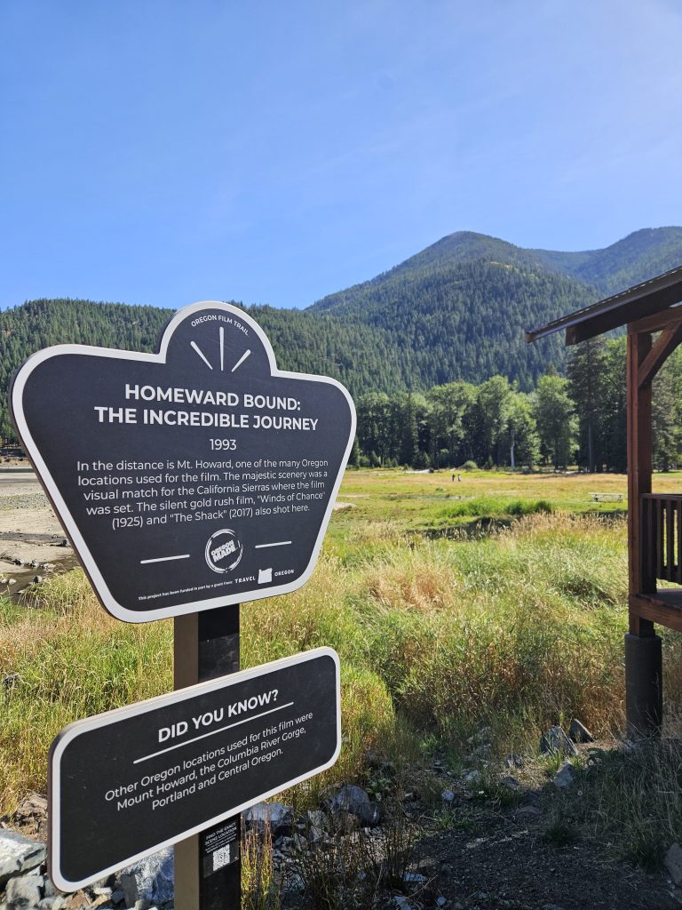 ‘Homeward Bound’ showcases intrepid pets amidst Oregon scenery